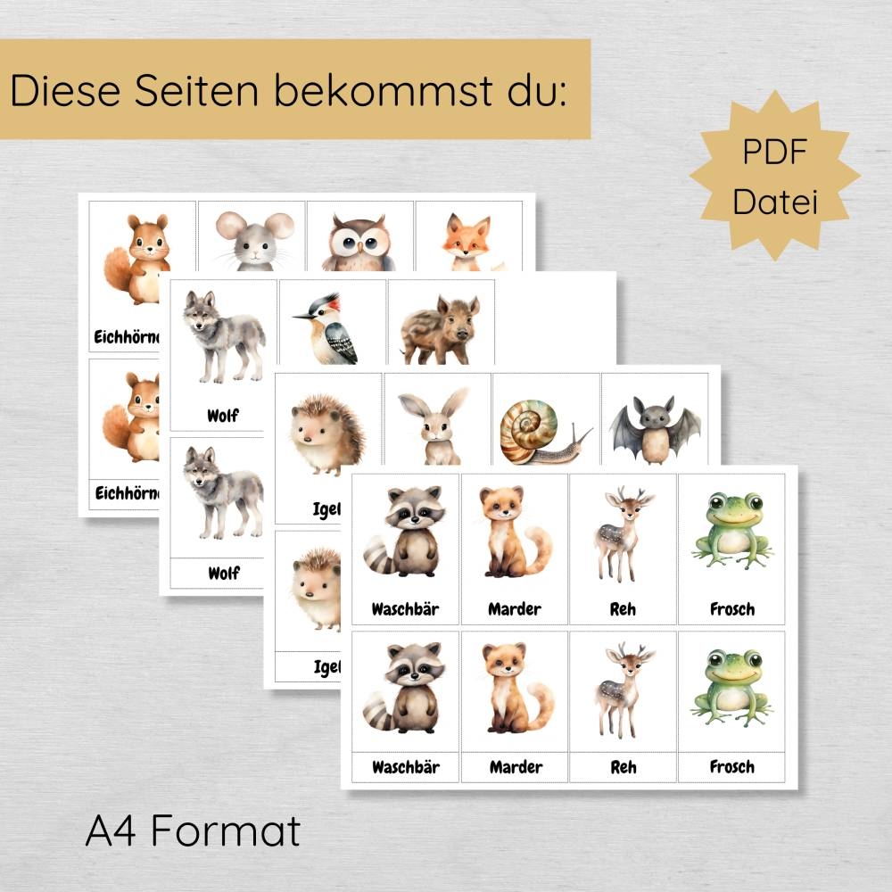 15 Lernkarten Mit Tieren Des Waldes Zum Ausdrucken Dreiteilige Bildkarten F r Kinder Mit Waldtieren