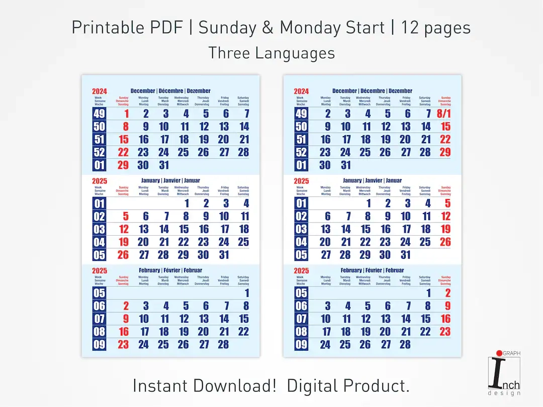 Terminic Wandkalender 2025 Calendar