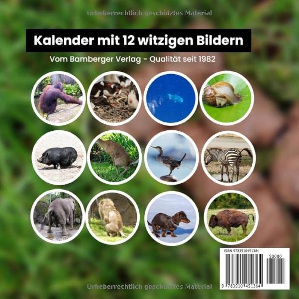 Amazon Kackende Tiere Kalender 2023 Das Lustige Geschenk F r M nner Frauen Freunde Kollegen Weihnachten Geburtstag Valentinstag Mehr Mit Deutschen Feiertagen German Edition 9783910451384 Schwerdt Arne Libros