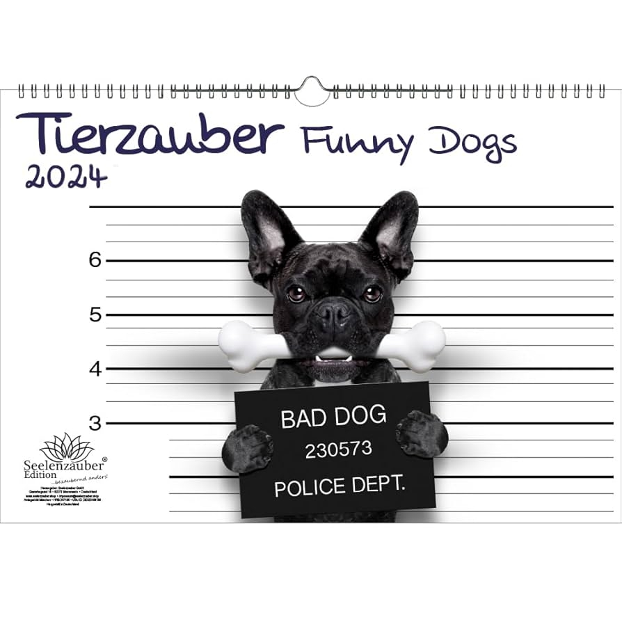 Amazon Tierzauber Funny Dogs DIN A3 Kalender Fr 2024 Hunde Welpen Seelenzauber Office Products