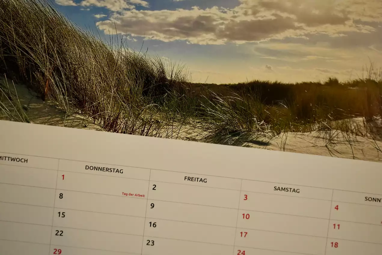 Anbieter Vergleich Fotokalender Online Erstellen Gestalten Heise Download