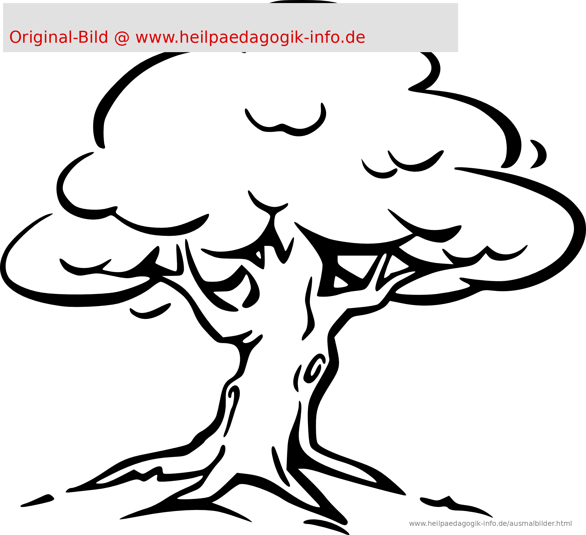 Ausmalbilder Blumen B ume Bl tter