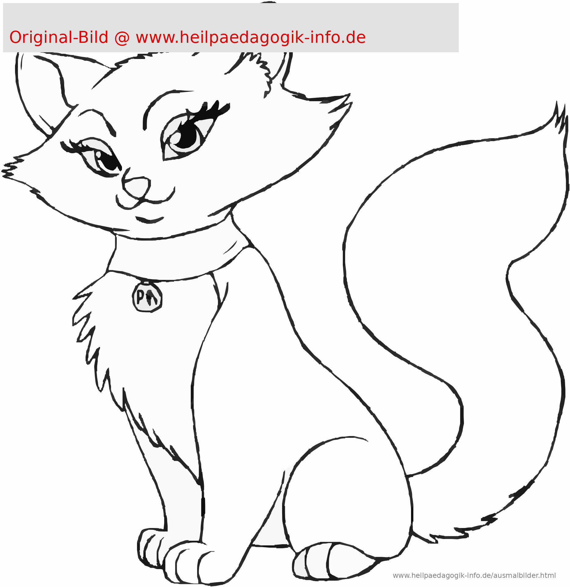 Kostenlose Bilder Zum Ausmalen Katze