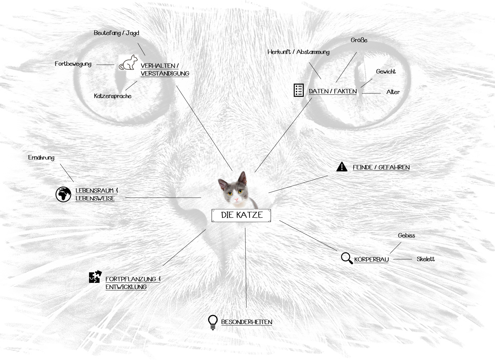 Biologie Arbeitsblätter Klasse 5 Katze Bilder