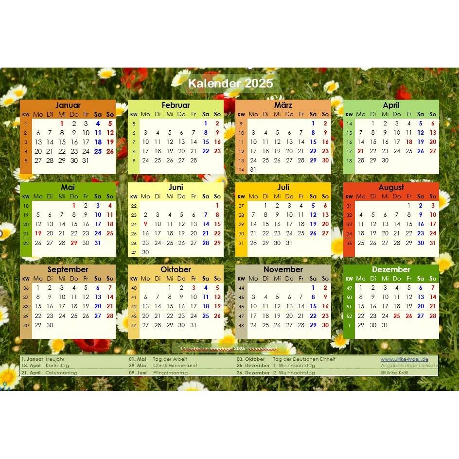 Das Jahr 2025 Auf Einen Blick Mit Wiesenblumen PDF DIN A4 Zum Ausdrucken
