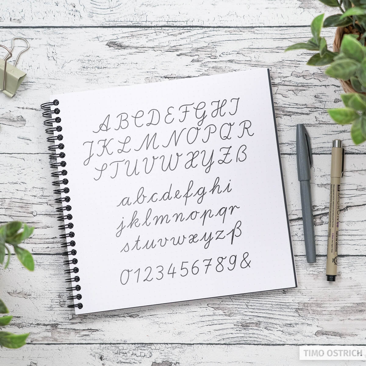 Das Schreibschrift Alphabet bersicht Zum Lernen Ausdrucken