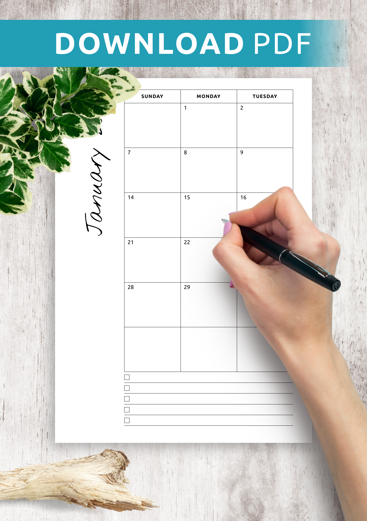Montas Kalender PDF
