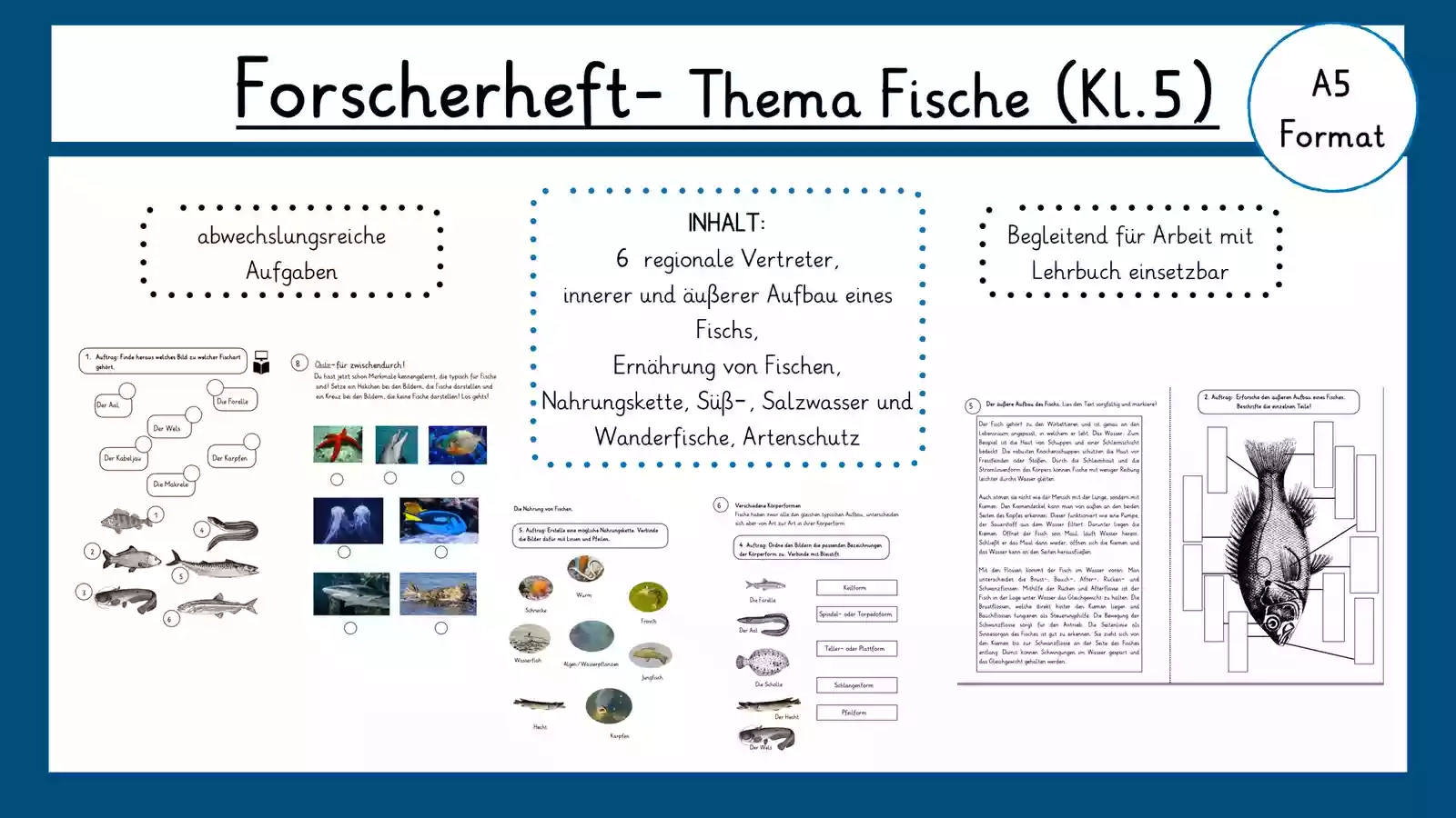 Biologie Klasse 5 Fische Arbeitsblätter