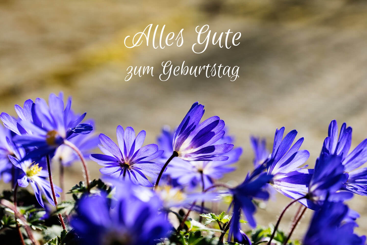 Geburtstagskarten Ausdrucken Kostenloser Download Geburtstagskarten Ausdrucken Kostenloser Download