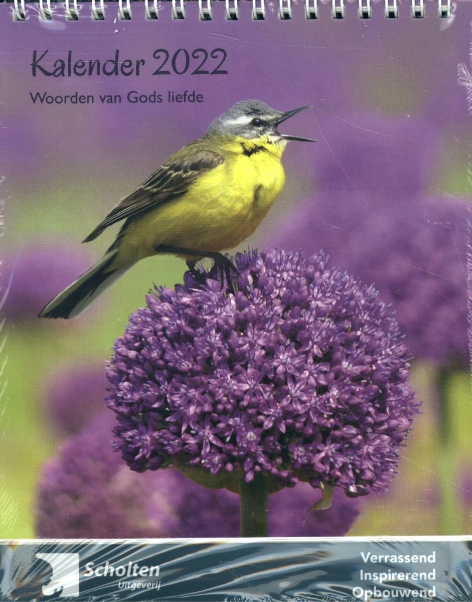 Kalender 2022 Bol