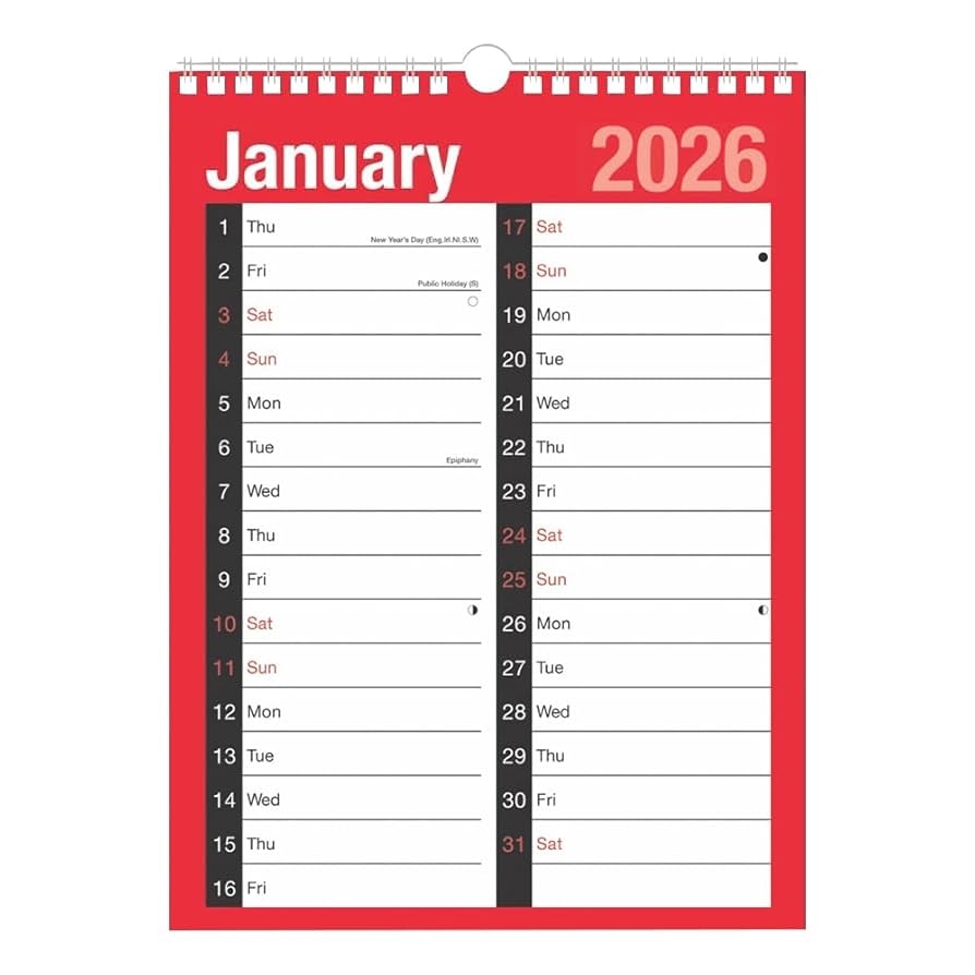 Kalender 2025 A4 Gro 2 Spalten Monatsansicht Mit Spiralbindung Wandplaner F r Zuhause B ro Schule 1 Januar 2025 Bis 31 Dezember 2025 Amazon de B robedarf Schreibwaren