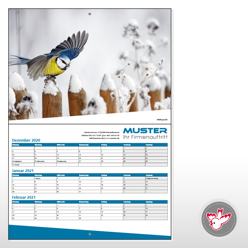 Kalender Drucken Witzig Druck AG