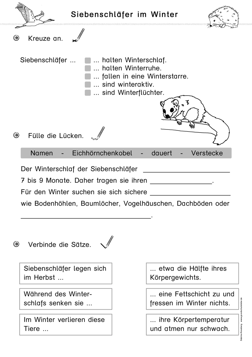 Kostenlose Arbeitsbl tter F r Die Grundschule