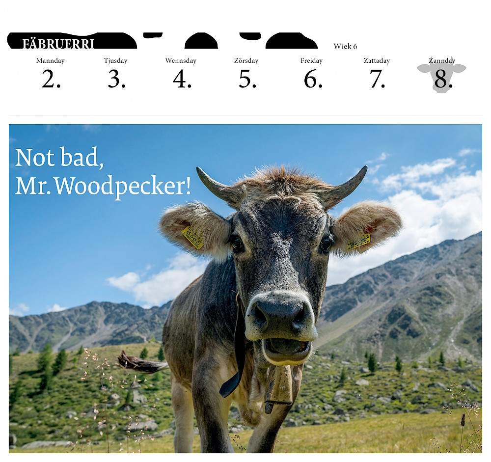 Ganz Schön Kuhl Tischkalender
