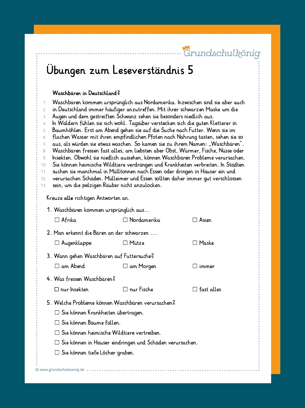Lesen Und Verstehen