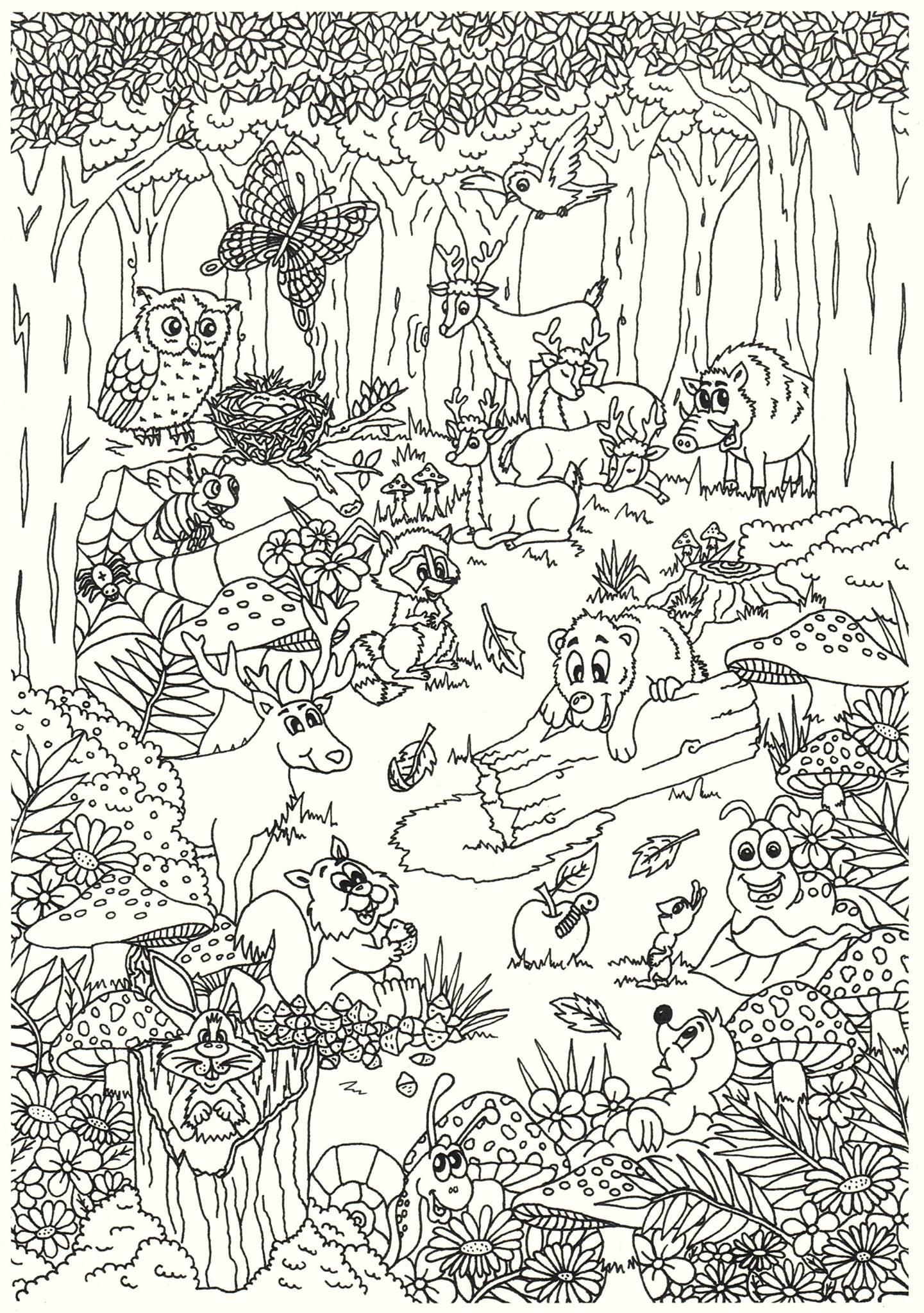 Malvorlage Tiere Im Wald Kostenlose Ausmalbilder Zum Ausdrucken Bild 31260 