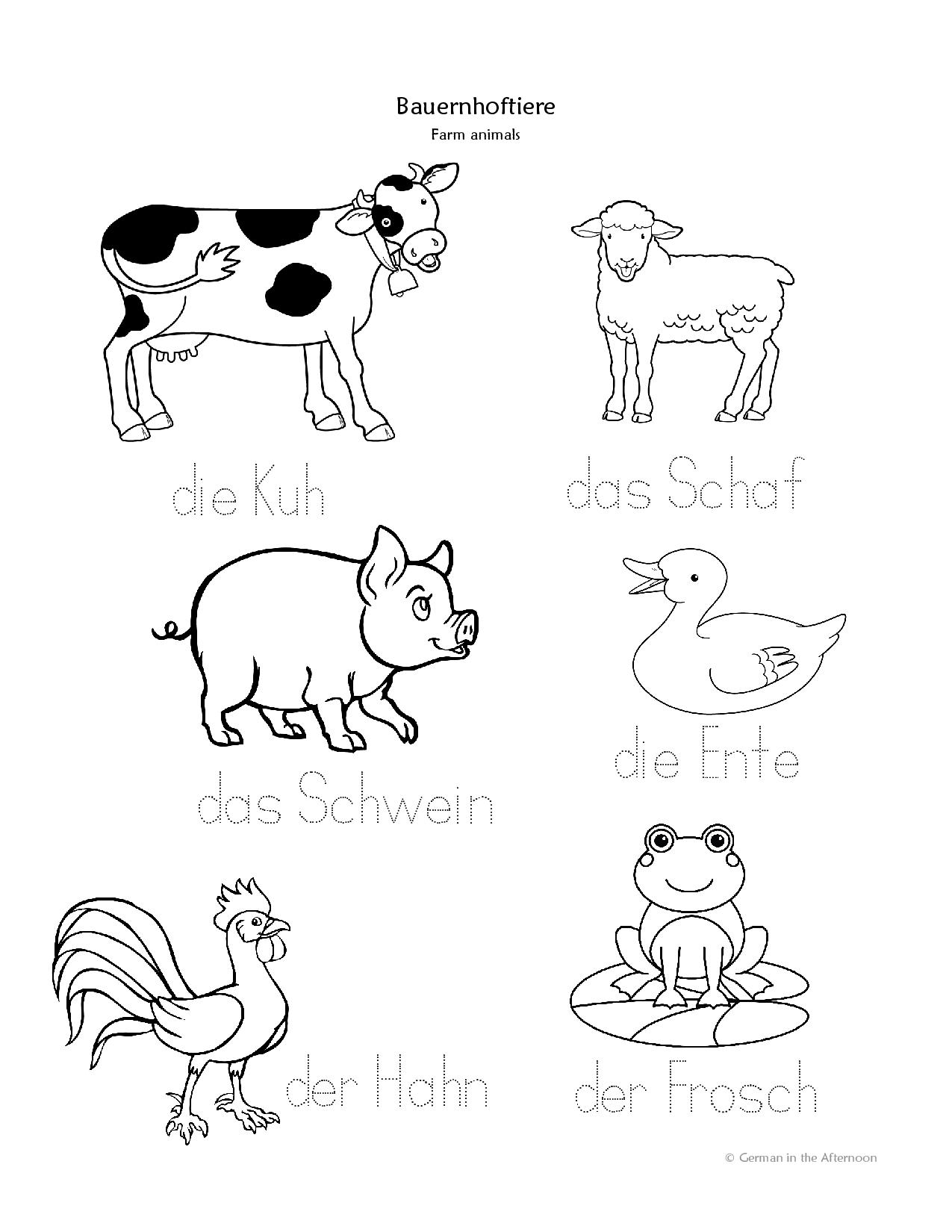 Mh Mh Macht Der Gr ne Frosch Im Teich German In The Afternoon Activities