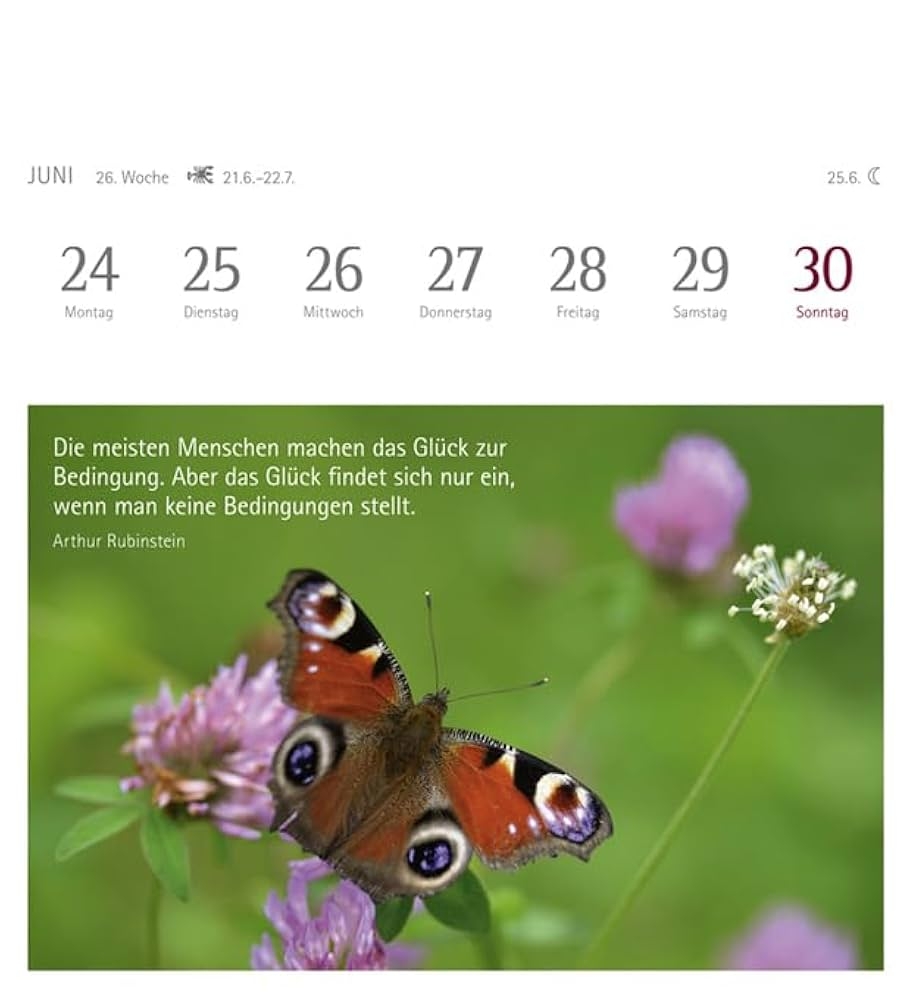 Kalender Des 2019