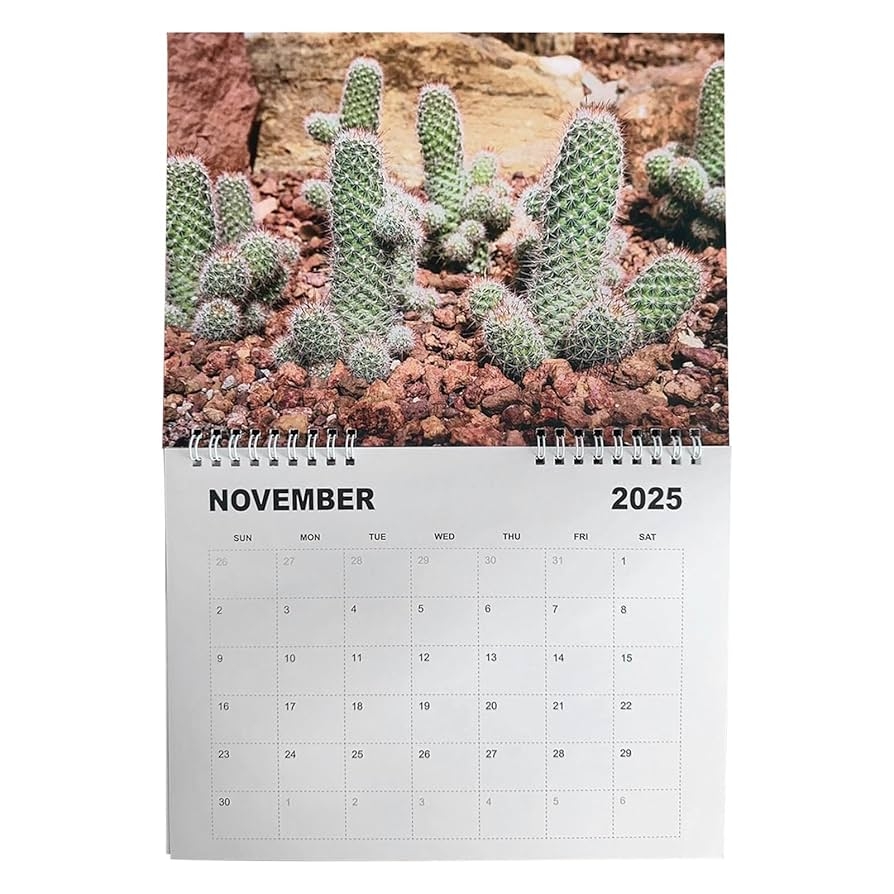 Jahreskalender MIT Pltz Zum Schreiben