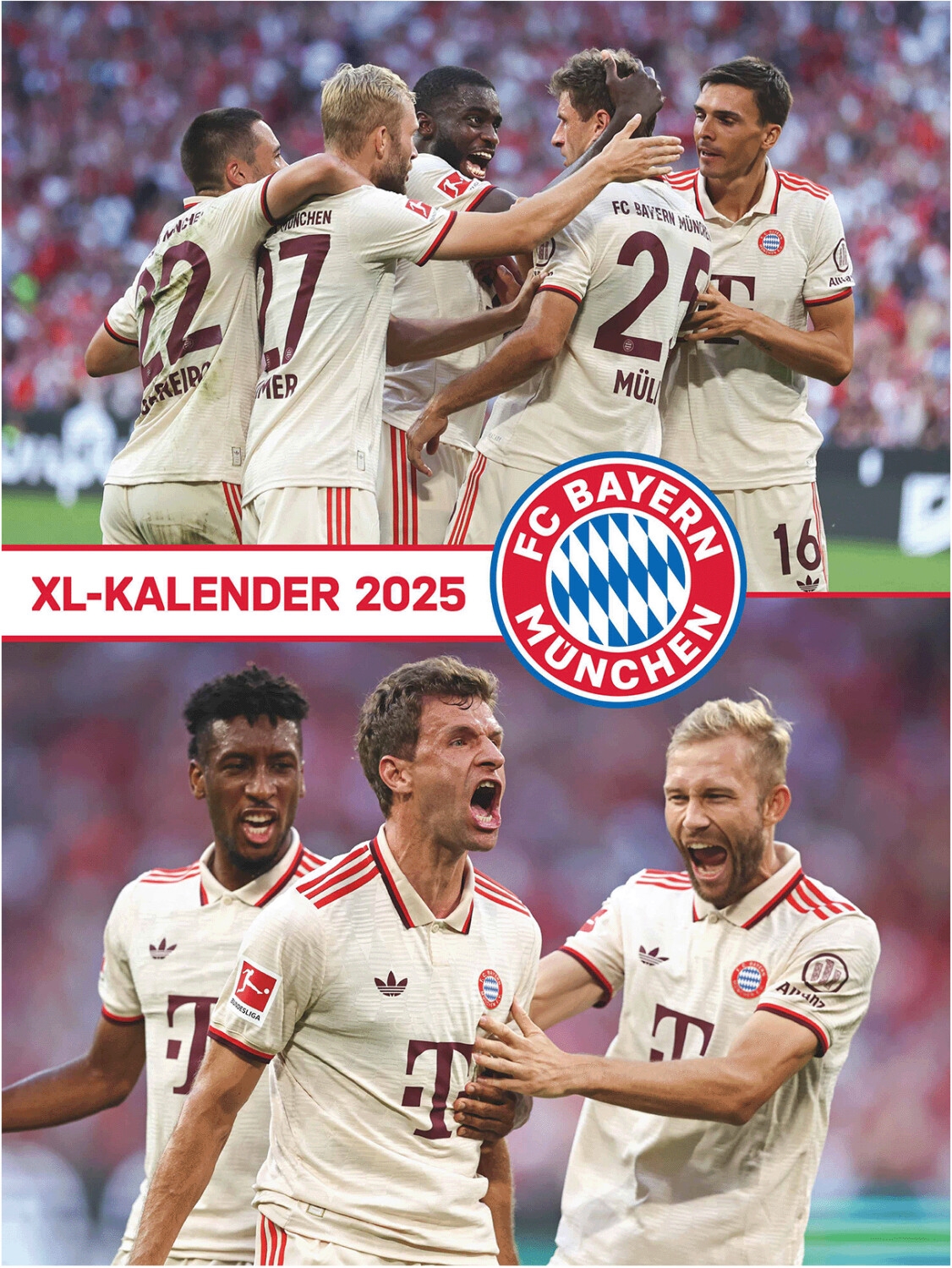Neumann Verlage FC Bayern M nchen XL Kalender 2025 Ab 20 90 Preisvergleich Bei Idealo de