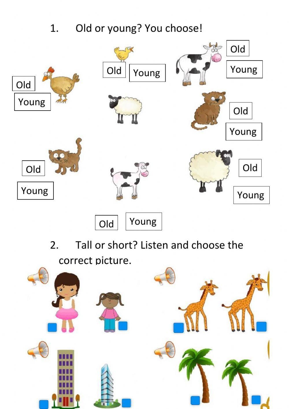 Tall Short Free Interactive Worksheets 260094