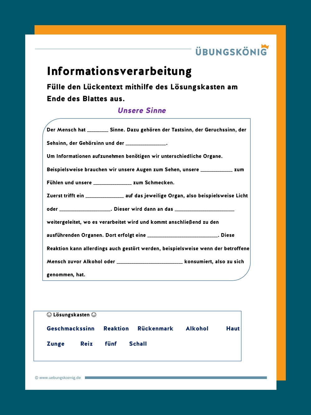 Unsere Sinne Informationsaufnahme Und Verarbeitung