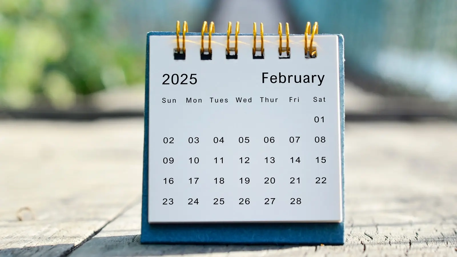 Urlaubscheck 2025 Ferien Feiertage Nach Bundesland Online Nachsehen