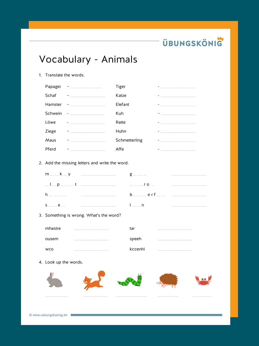 Vocabulary Vokabel bungen