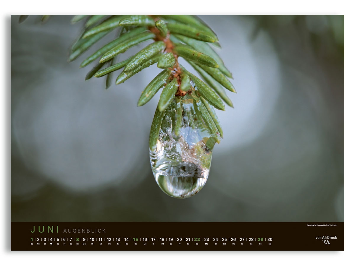 Von Ah Druck Kalender 2025 Von Ah Druck AG