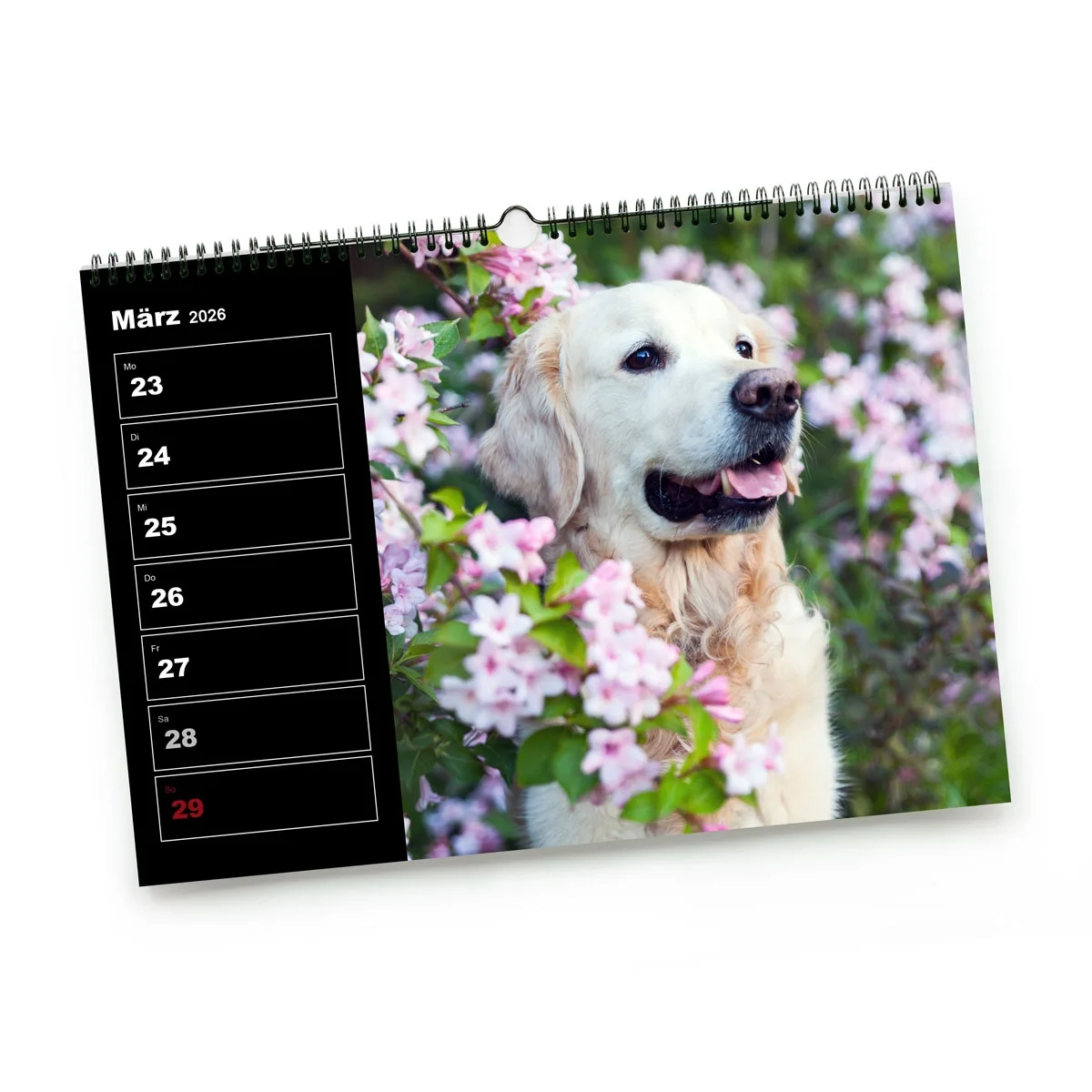 Wochenkalender Fotos Selbst Gestalten
